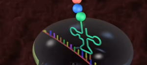 進化論の終着点